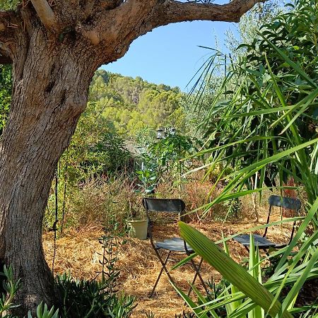 شقة Casa Oasis ألورا المظهر الخارجي الصورة