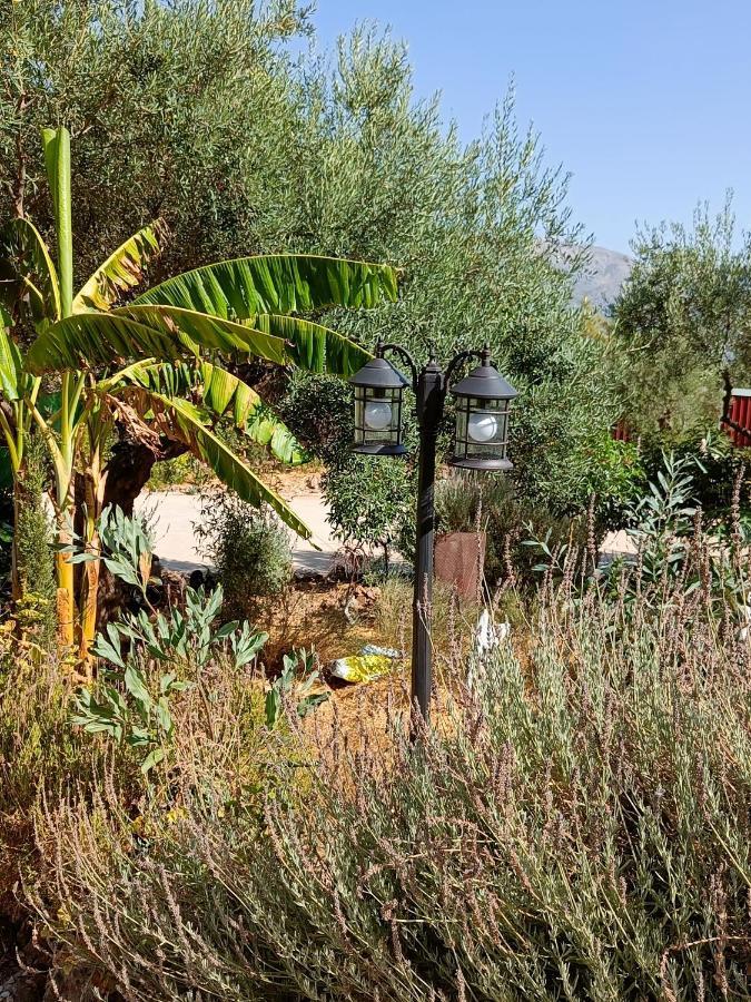شقة Casa Oasis ألورا المظهر الخارجي الصورة