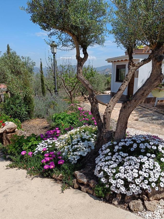 شقة Casa Oasis ألورا المظهر الخارجي الصورة
