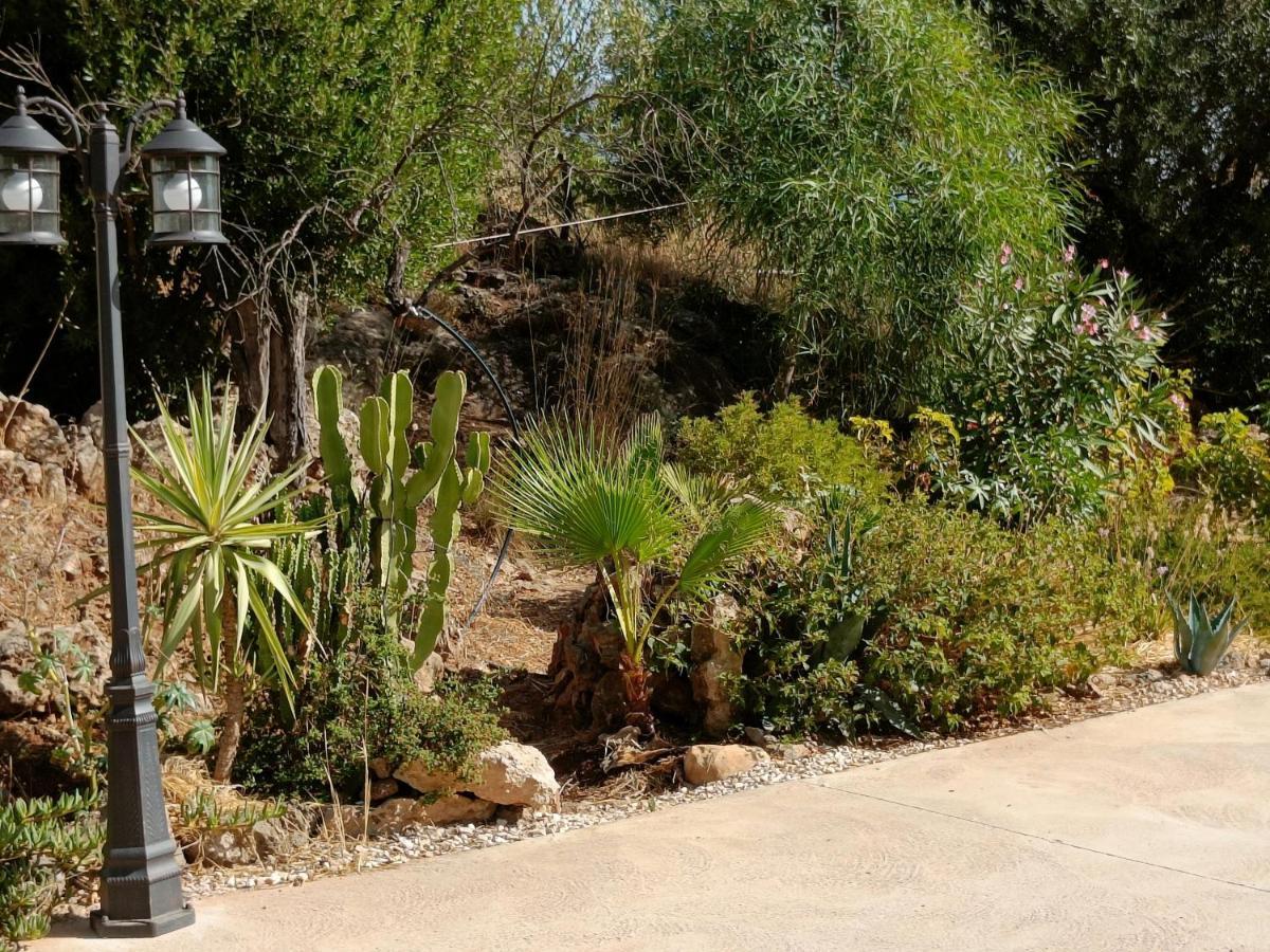 شقة Casa Oasis ألورا المظهر الخارجي الصورة
